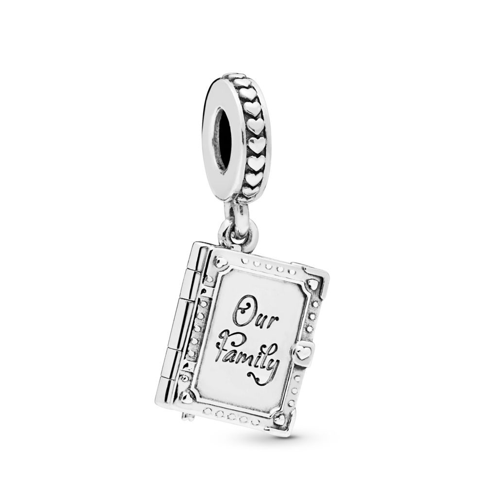 Pandora Family Book Bedel - 798105