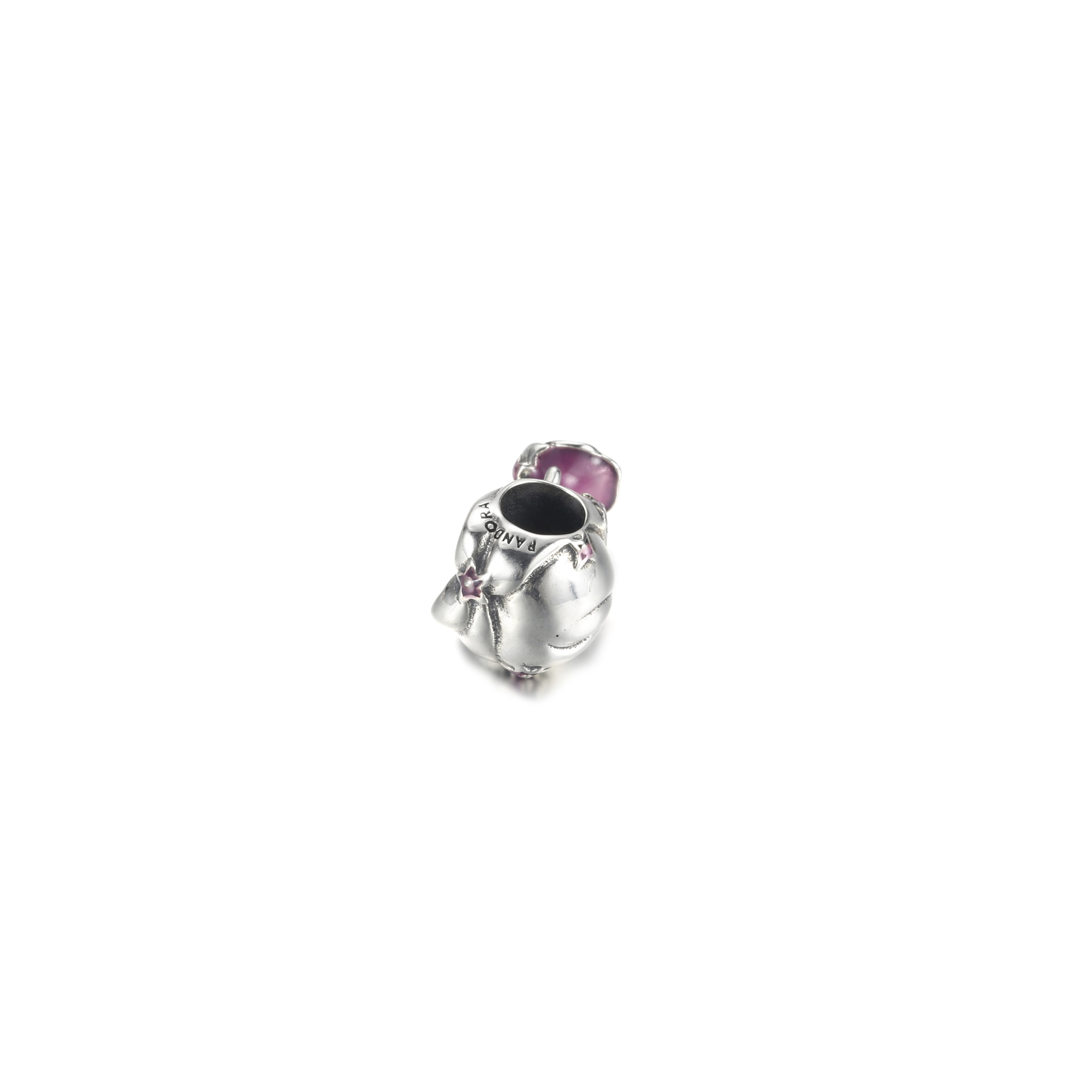 PANDORA Disney Rapunzel Bedel - 799498C01