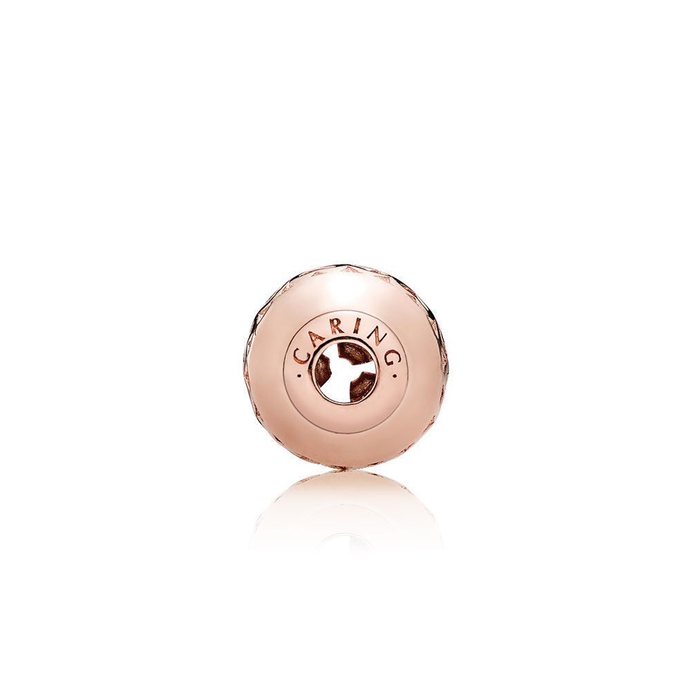 Pandora Rose Essence Zorg Bedel 786203