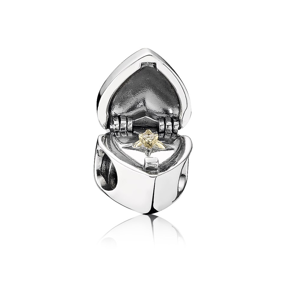 Pandora Zilveren Gift Van Het Hart Bedel 791247CZ