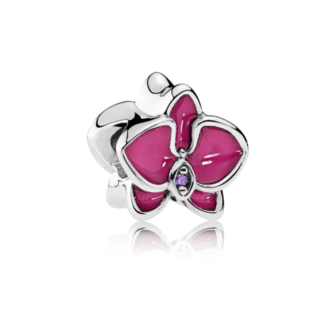 Pandora Zilveren Orchid Bedel 792074En69