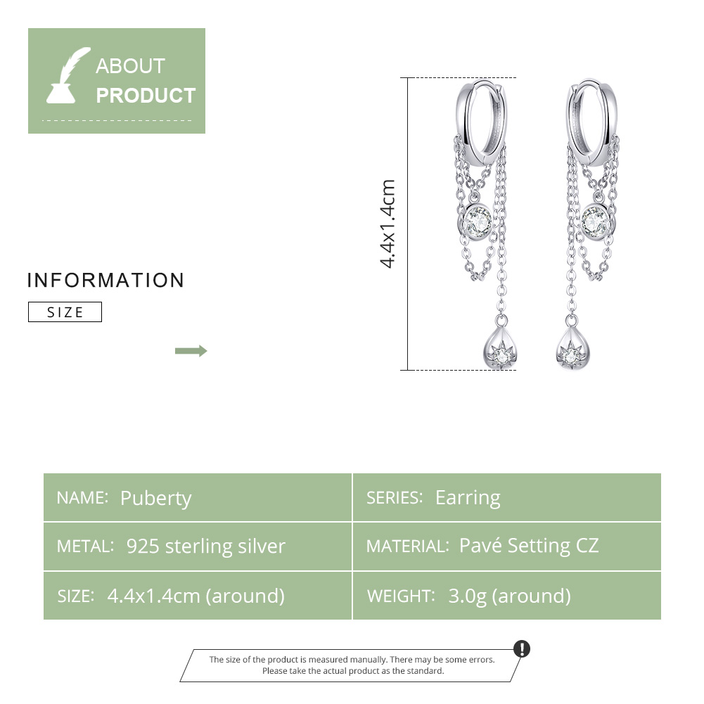 Pandora Style Puberteit Oorhangers - SCE638