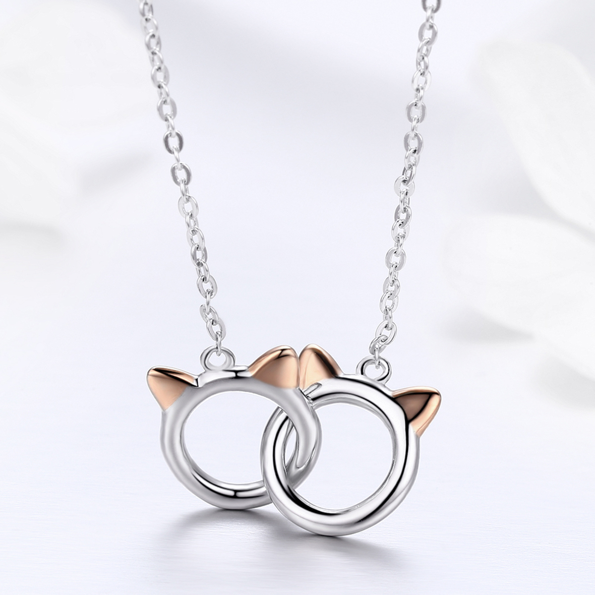 Pandora Style Rose Kat Chain Ketting - SCN252